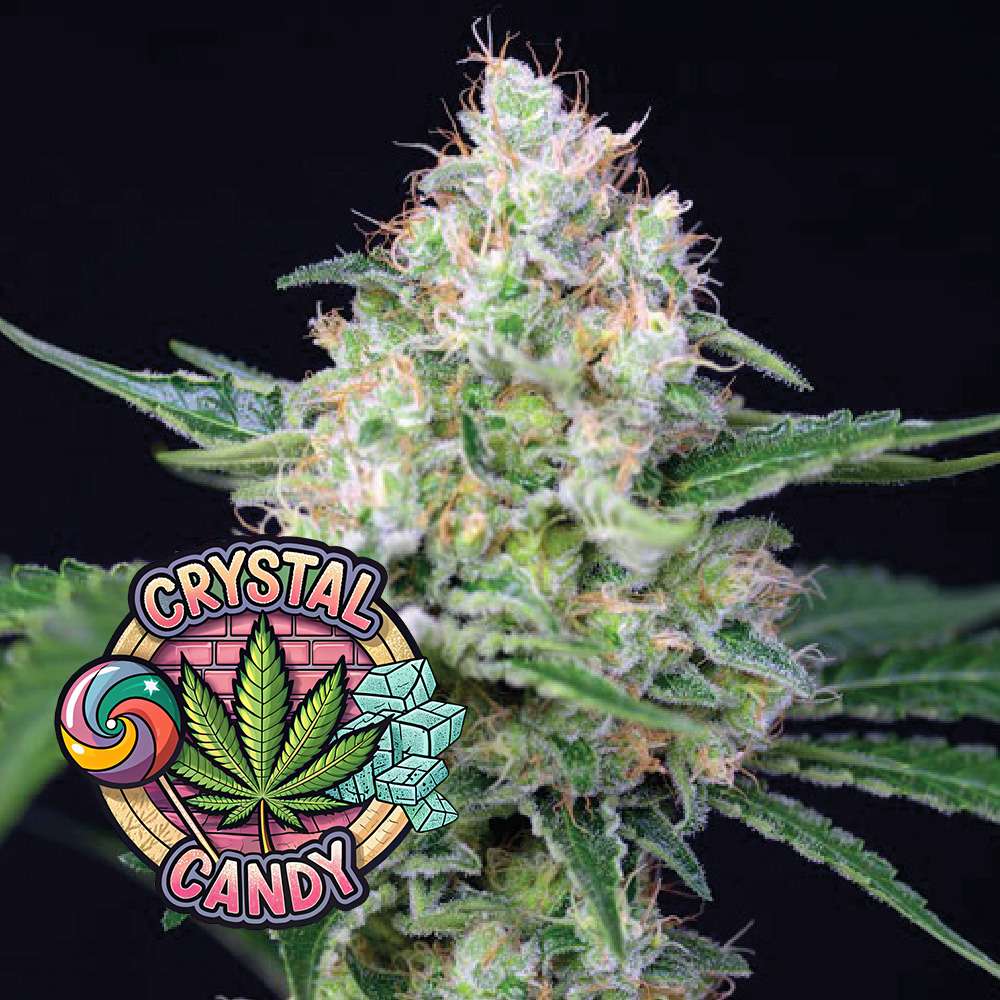 Crystal Candy