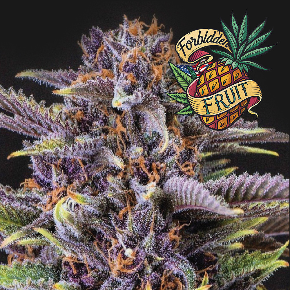 Forbidden Fruit
